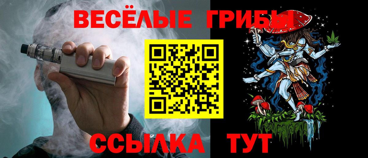 Галлюциногенные грибы прущие грибы  Вход с VPN  Галлюциногенные грибы Psilocybine cubensis  Кизляр 